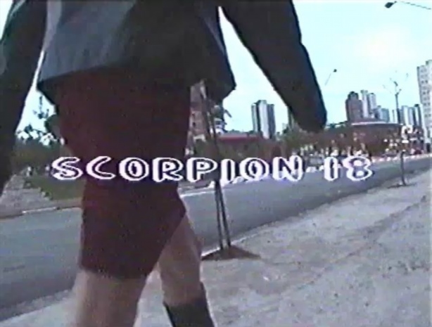 Scorpion 18 pt