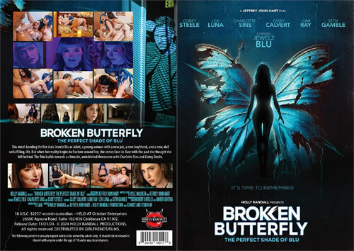 Broken Butterfly - The Perfect Shade Of Blu (2024)